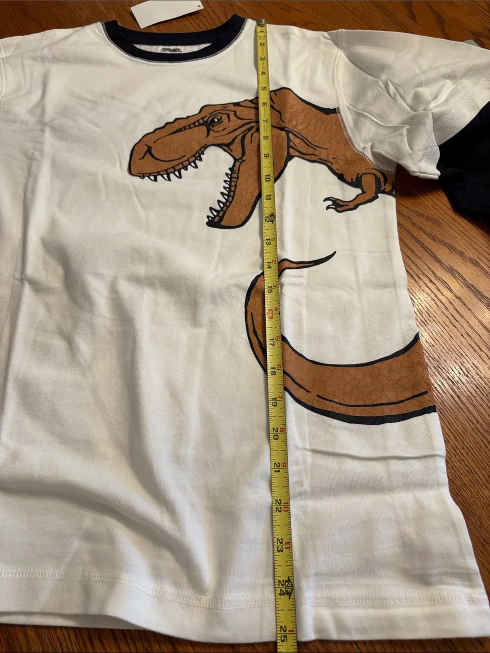 Gymboree White Long Sleeve Tee with Layered Look Sleeves and Dinosaur Graphic